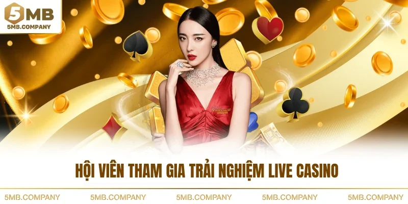 Hội viên tham gia trải nghiệm live casino
