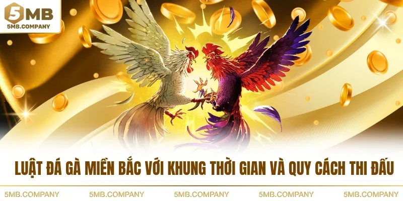 Luật đá gà miền Bắc với khung thời gian và quy cách thi đấu 