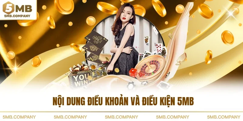 Nội dung điều khoản và điều kiện 5MB