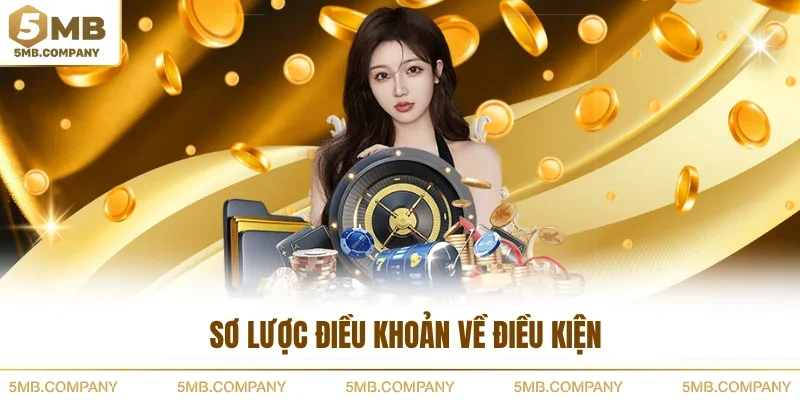 Sơ lược điều khoản về điều kiện